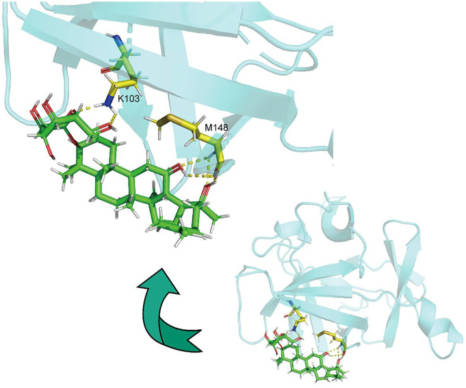 A network pharmacology approach to explore and validate the potential targets of ginsenoside on osteoporosis.