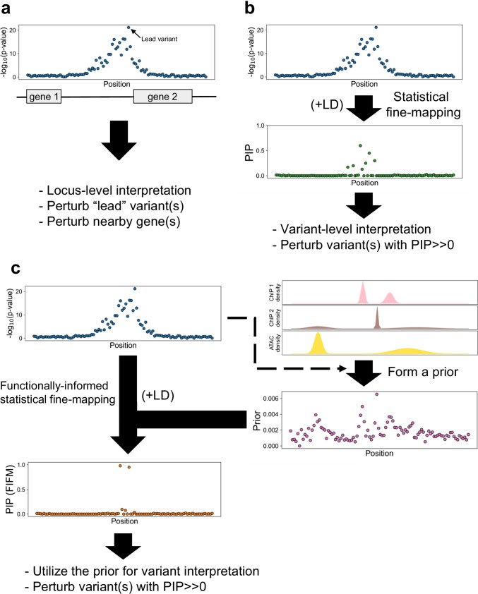 Methods for statistical fine-mapping and their applications to auto-immune diseases.