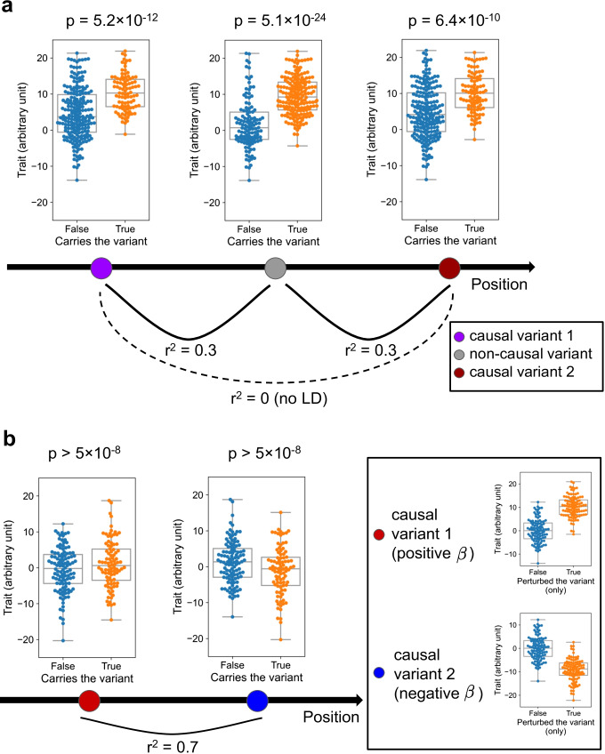 Methods for statistical fine-mapping and their applications to auto-immune diseases.