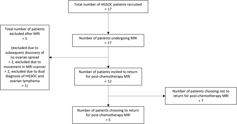 Magnetization transfer imaging of ovarian cancer: initial experiences of correlation with tissue cellularity and changes following neoadjuvant chemotherapy.