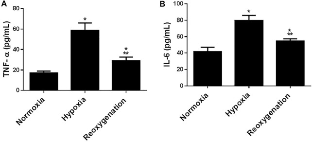 Intermittent Short-Duration Re-oxygenation Attenuates Cardiac Changes in Response to Hypoxia: Histological, Ultrastructural and Oxidant/Antioxidant Parameters.