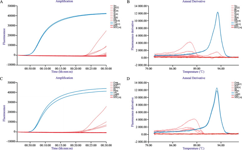 Development of a loop-mediated isothermal amplification assay for detection of <i>Austropeplea tomentosa</i> from environmental water samples.