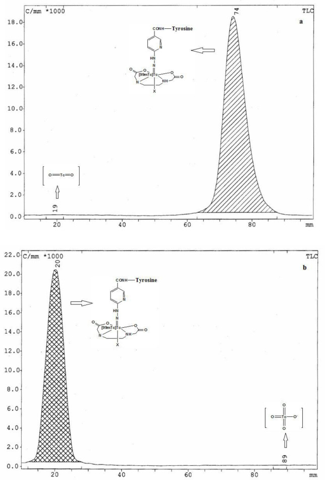 Evaluation of [<sup>99m</sup>Tc][Tc-HYNIC/EDDA]-Tyr as a target for metabolic tumor imaging in B16F10 melanoma tumor.