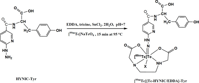 Evaluation of [<sup>99m</sup>Tc][Tc-HYNIC/EDDA]-Tyr as a target for metabolic tumor imaging in B16F10 melanoma tumor.