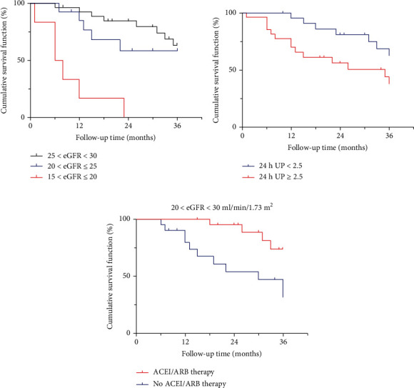 IgA Nephropathy with Macroproteinuria and a GFR of 20-30 ml/min/1.73 m<sup>2</sup> May Still Benefit from RAS Inhibition.