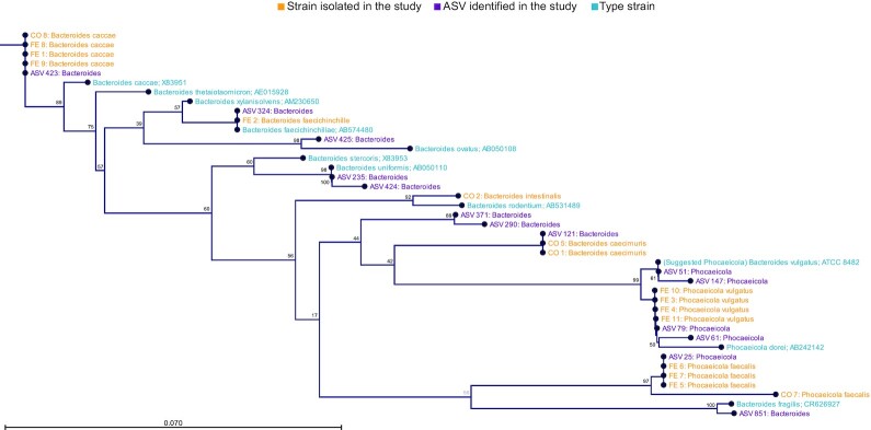 Human milk oligosaccharides induce acute yet reversible compositional changes in the gut microbiota of conventional mice linked to a reduction of butyrate levels.