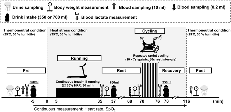 Effects of carbohydrate-electrolyte dissolved alkaline electrolyzed water on physiological responses during exercise under heat stress in physically active men