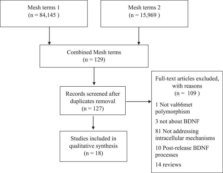 The <i>BDNF</i> Val66Met Polymorphism is a Relevant, But not Determinant, Risk Factor in the Etiology of Neuropsychiatric Disorders - Current Advances in Human Studies: A Systematic Review.