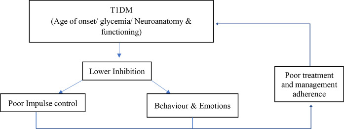 A critical review of the relationship between type 1 diabetes mellitus, inhibition, and behavioral management.