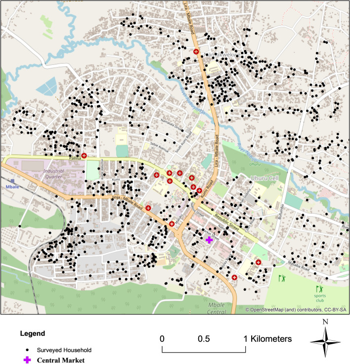 Similar, yet different! Comparing Ugandan secondary cities' food system and nutritional transformations to findings from African primary cities.