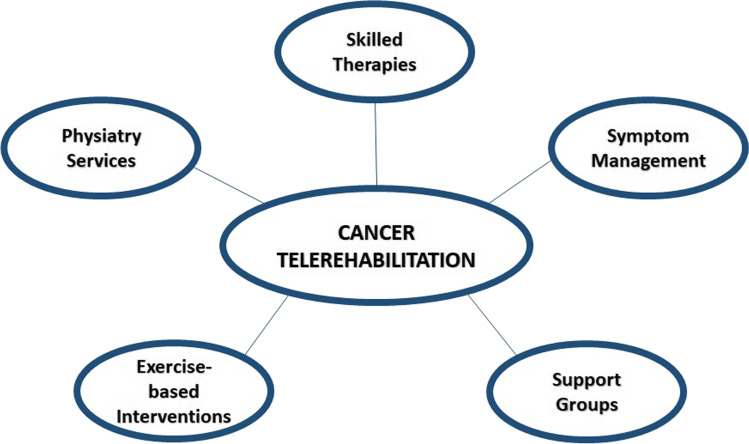 Updates in Cancer Rehabilitation Telehealth.