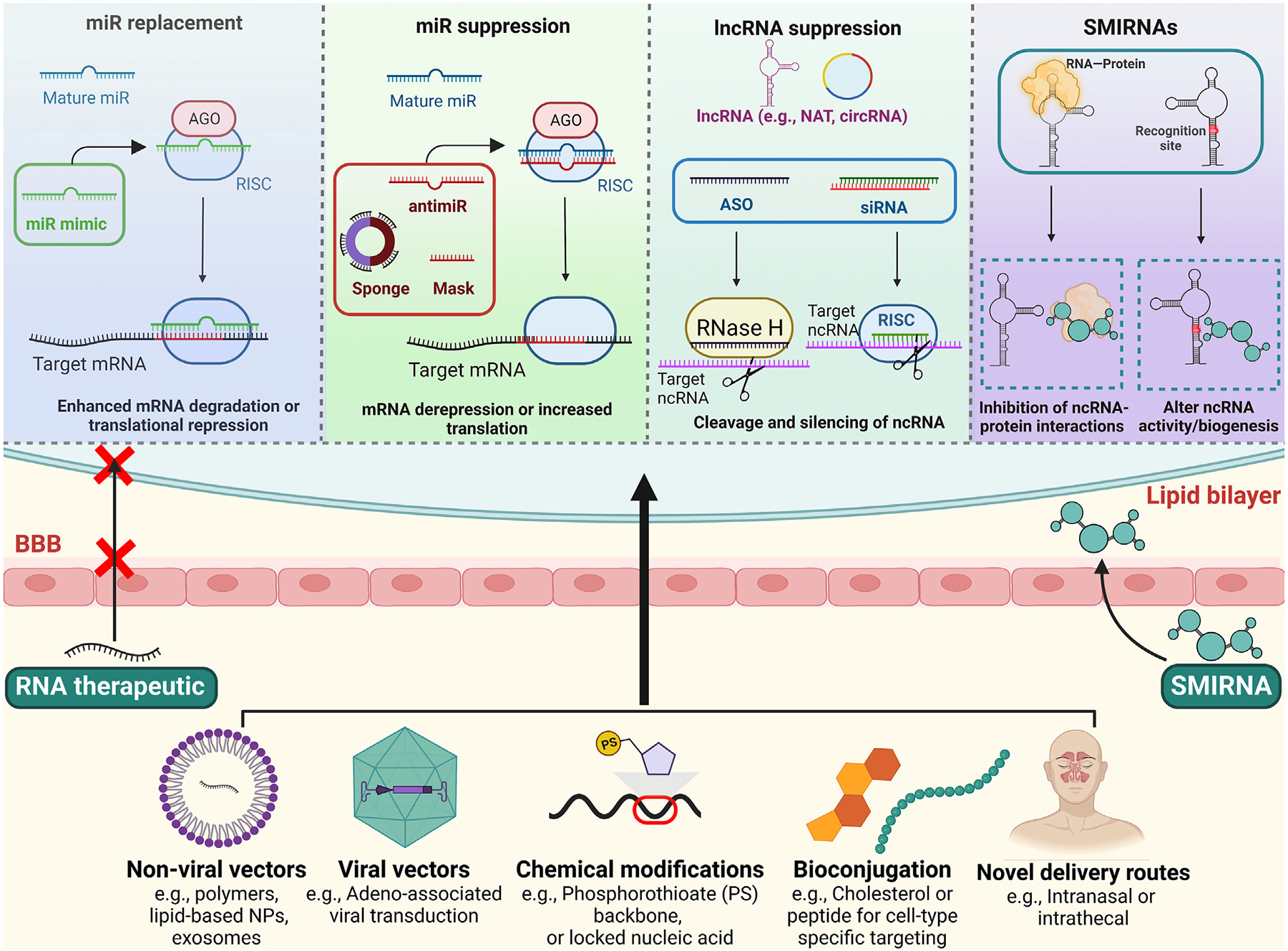 Noncoding RNA therapeutics for substance use disorder.