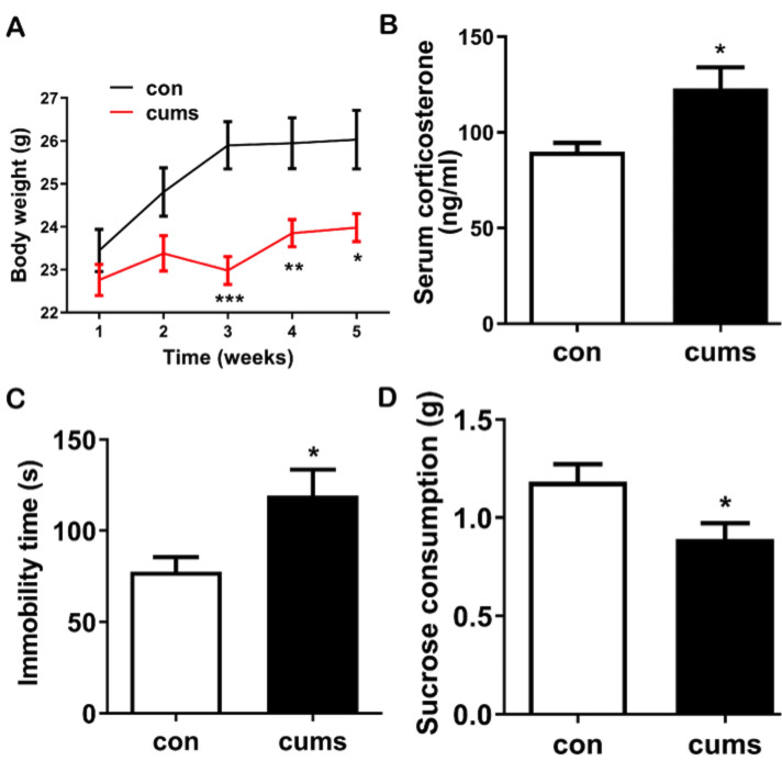 Psychological stress induces moderate pathology in the ganglion cell layer in mice.