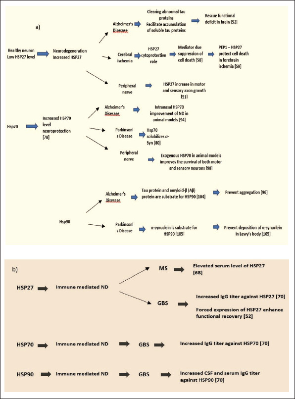 Impact of Heat Shock Proteins in Neurodegeneration: Possible Therapeutical Targets.