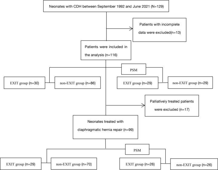 Ex utero intrapartum therapy in infants with congenital diaphragmatic hernia: a propensity score matching analysis.