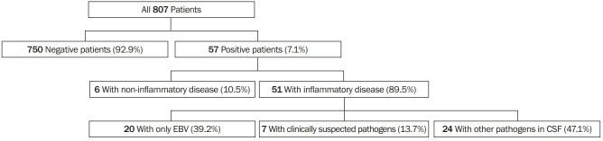 Clinical significance of Epstein-Barr virus polymerase chain reaction in cerebrospinal fluid.