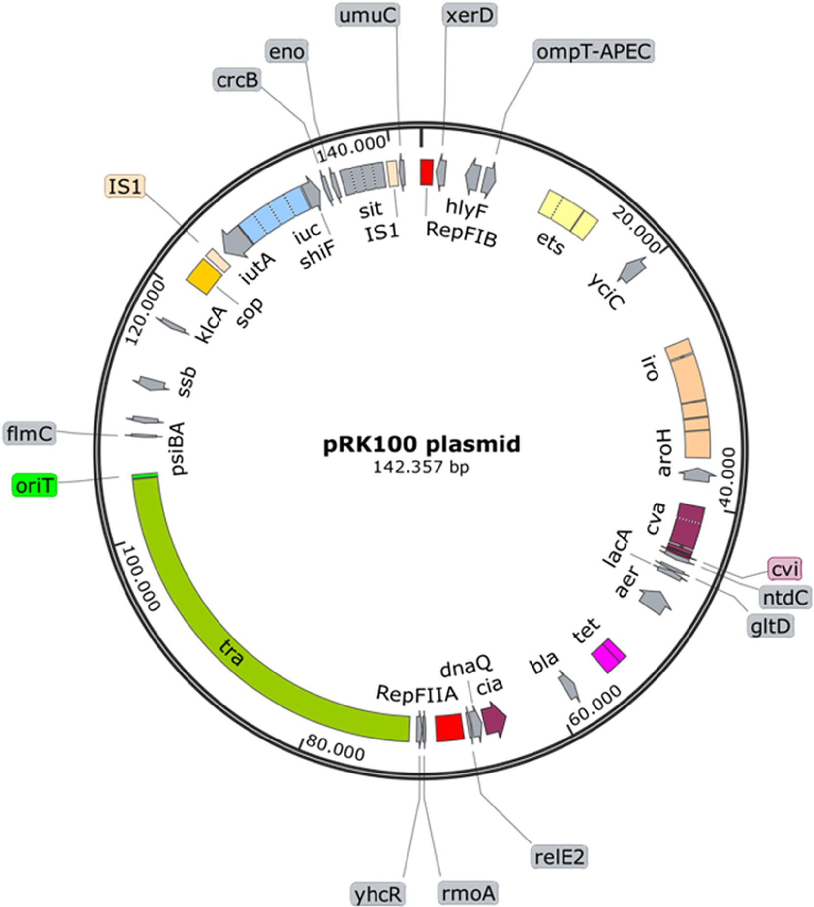 Complete sequence of classic F-type plasmid pRK100 shows unique conservation over time and geographic location