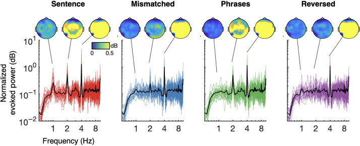 Hierarchy, Not Lexical Regularity, Modulates Low-Frequency Neural Synchrony During Language Comprehension.