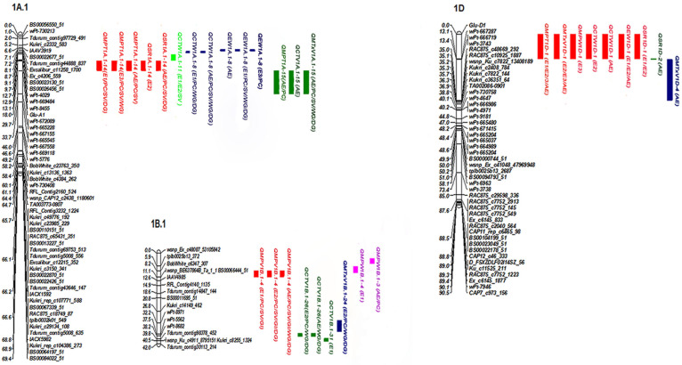 Genetic Dissection of the Mixing Properties of Wheat Flour (<i>Triticum aestivum</i> L.) Using Unconditional and Conditional QTL Mapping.