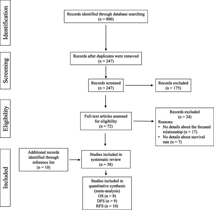 Association between genetic polymorphisms in cytochrome P450 enzymes and survivals in women with breast cancer receiving adjuvant endocrine therapy: a systematic review and meta-analysis.