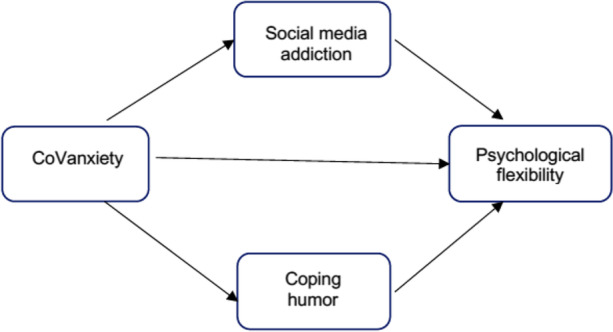 Psychological Flexibility, Coronavirus Anxiety, Humor and Social Media Addiction During COVID-19 Pandemic in Turkey.
