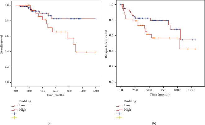 Prognostic Impact of Tumor Budding on Moroccan Colon Cancer Patients.