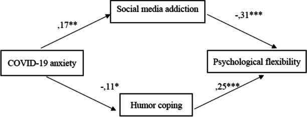 Psychological Flexibility, Coronavirus Anxiety, Humor and Social Media Addiction During COVID-19 Pandemic in Turkey.