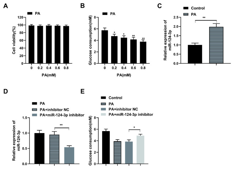 Palmitic acid declines glucose uptake in HepG2 cells via modulating phosphoglucomutase 1 to repress phosphatidylinositol 3 kinase/protein kinase B and JNK pathways via inducing microRNA-124-3p.