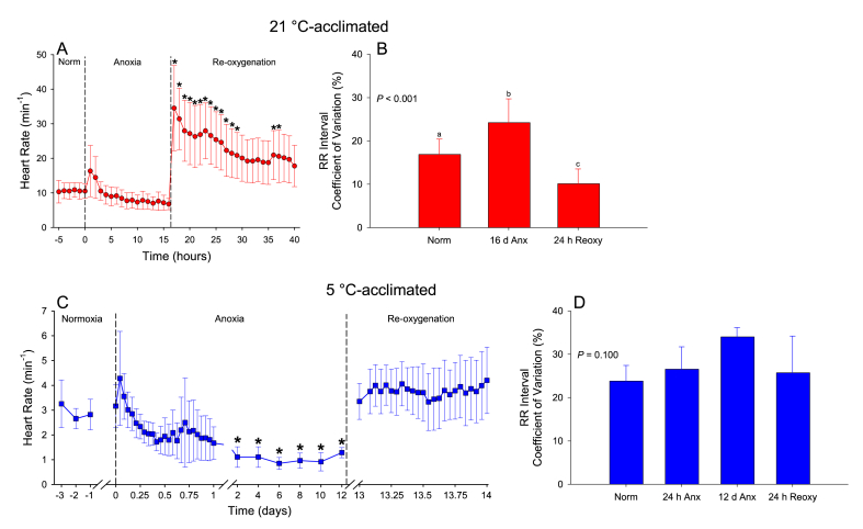 Does the ventricle limit cardiac contraction rate in the anoxic turtle (Trachemys scripta)? II. In vivo and in vitro assessment of the prevalence of cardiac arrhythmia and atrioventricular block