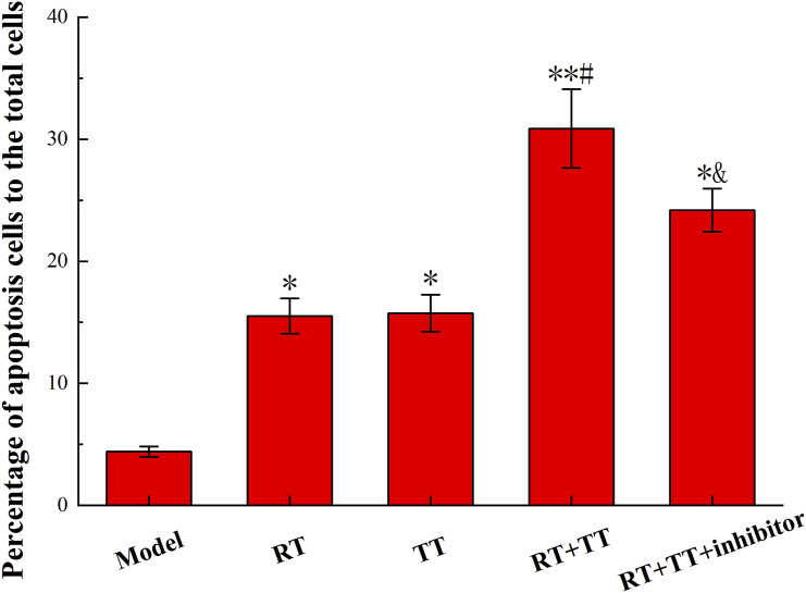 The mechanism of radiotherapy for lung adenocarcinoma in promoting protein SIRT6-mediated deacetylation of RBBP8 to enhance the sensitivity of targeted therapy.