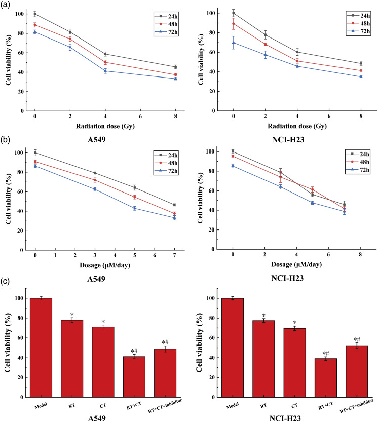 The mechanism of radiotherapy for lung adenocarcinoma in promoting protein SIRT6-mediated deacetylation of RBBP8 to enhance the sensitivity of targeted therapy.