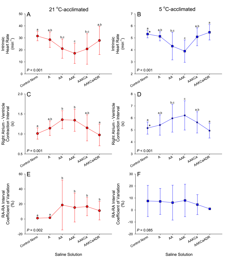 Does the ventricle limit cardiac contraction rate in the anoxic turtle (Trachemys scripta)? II. In vivo and in vitro assessment of the prevalence of cardiac arrhythmia and atrioventricular block