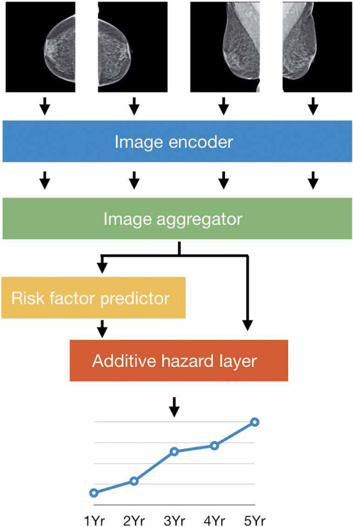 Deep learning in breast imaging.