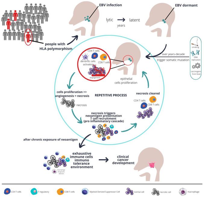 Deciphering Driver of Nasopharyngeal Cancer Development.