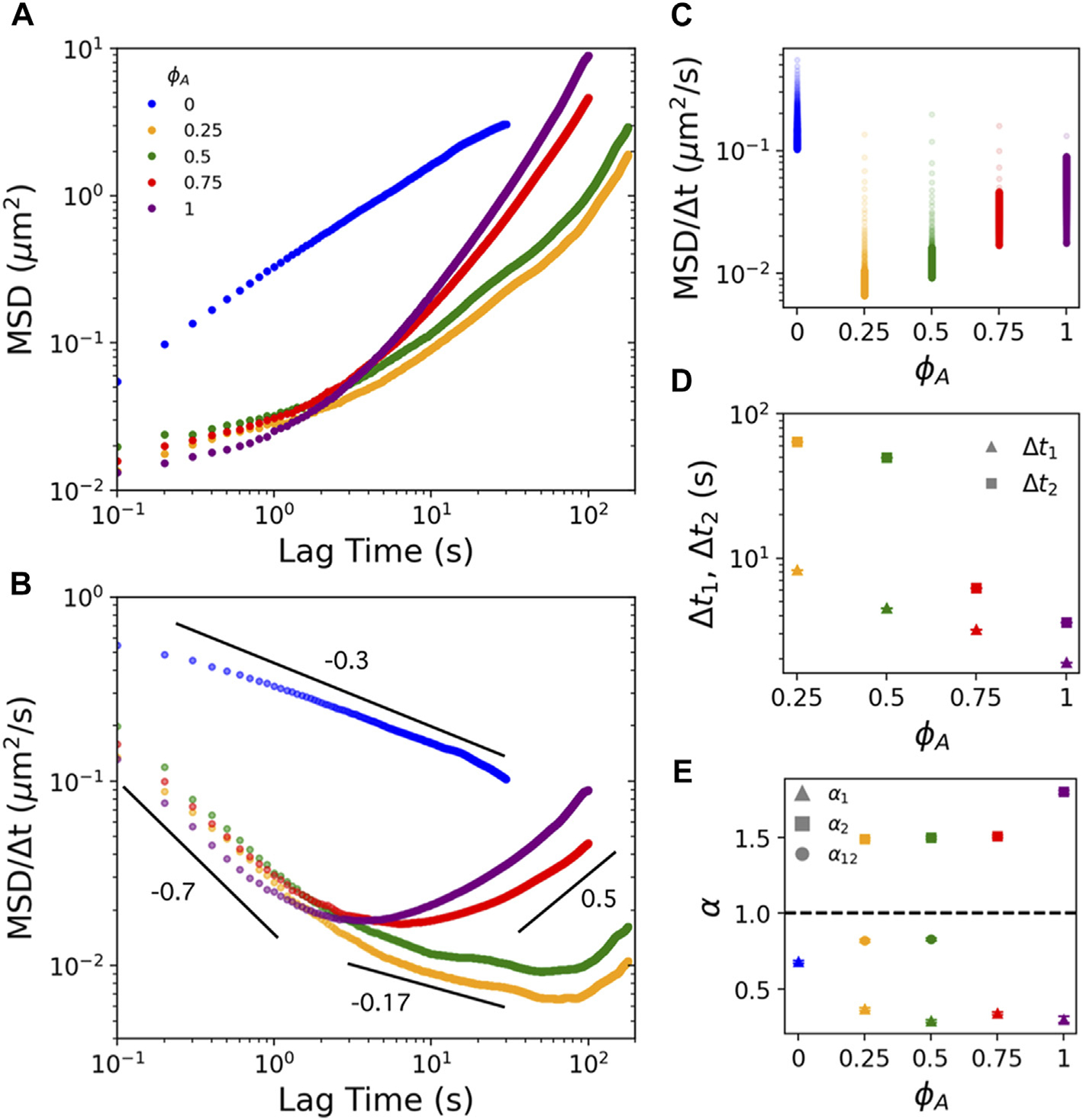 Motor-driven advection competes with crowding to drive spatiotemporally heterogeneous transport in cytoskeleton composites.