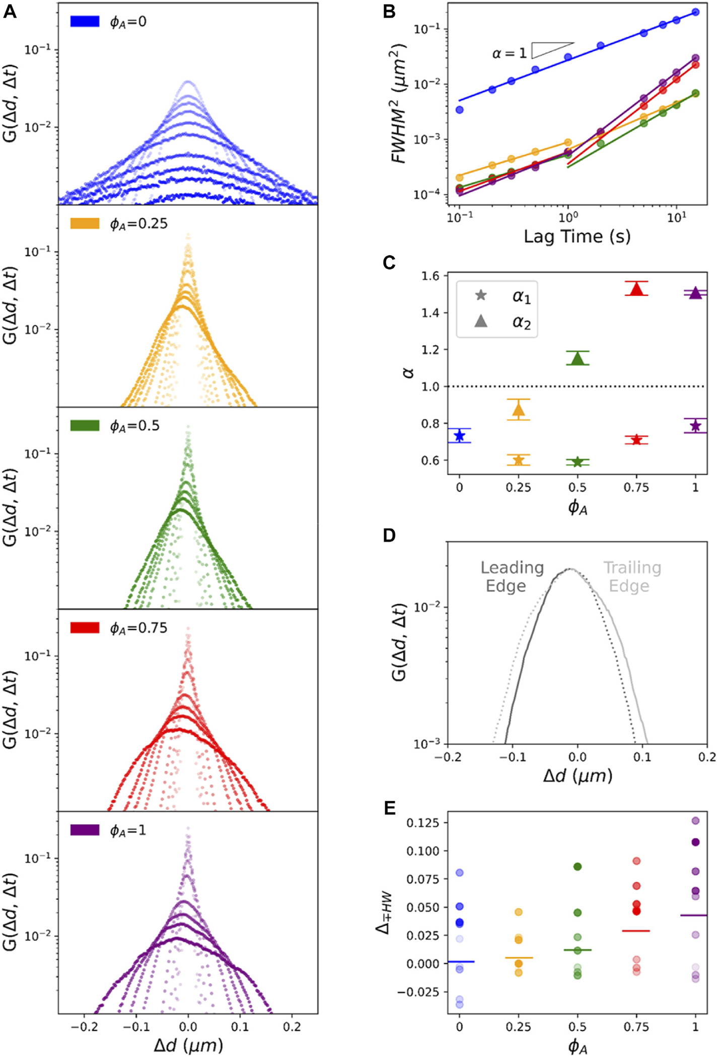 Motor-driven advection competes with crowding to drive spatiotemporally heterogeneous transport in cytoskeleton composites.