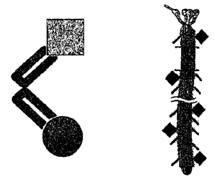 Recent Patents on Nasal Vaccines Containing Nanoadjuvants.