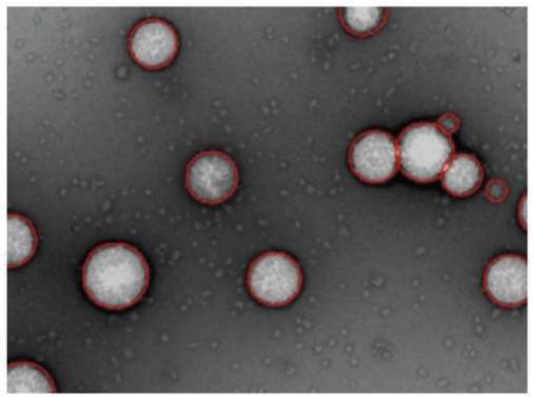 Recent Patents on Nasal Vaccines Containing Nanoadjuvants.