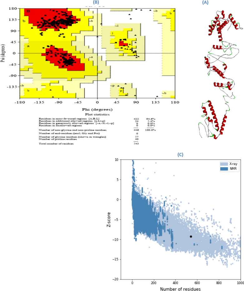 Design of a multi-epitope-based peptide vaccine against the S and N proteins of SARS-COV-2 using immunoinformatics approach.