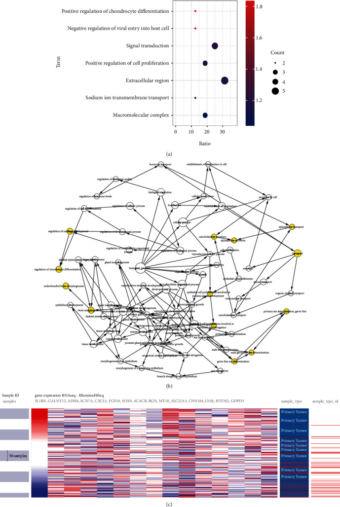 <i>IL1RN</i> and <i>PRRX1</i> as a Prognostic Biomarker Correlated with Immune Infiltrates in Colorectal Cancer: Evidence from Bioinformatic Analysis.