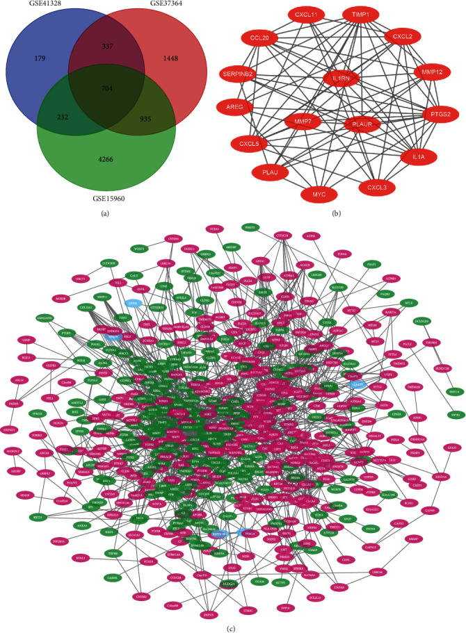 <i>IL1RN</i> and <i>PRRX1</i> as a Prognostic Biomarker Correlated with Immune Infiltrates in Colorectal Cancer: Evidence from Bioinformatic Analysis.