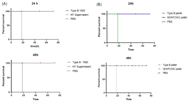 The oncolytic activity of <i>Clostridium novyi</i> nontoxic spores in breast cancer.