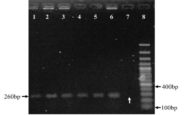 The oncolytic activity of <i>Clostridium novyi</i> nontoxic spores in breast cancer.