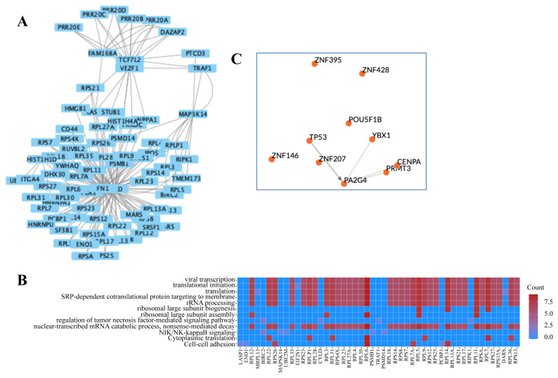 Doxorubicin-induced transcriptome meets interactome: identification of new drug targets.