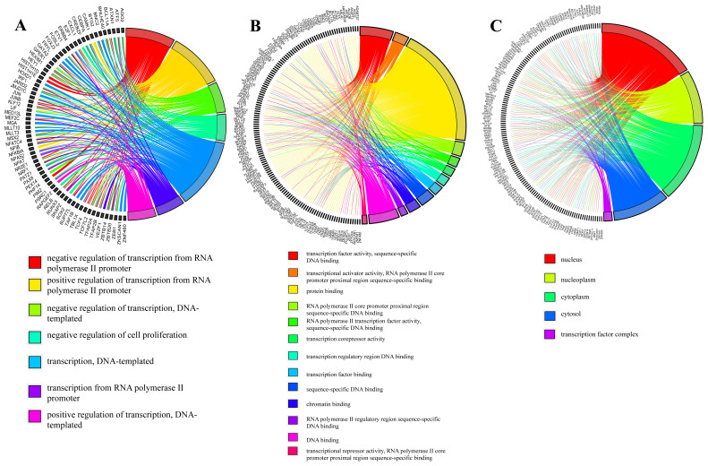 Doxorubicin-induced transcriptome meets interactome: identification of new drug targets.