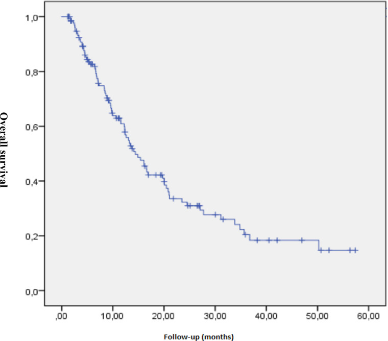 Prospective multicentre analysis of the therapeutic approach and prognostic factors determining overall survival in elderly patients with non-small-cell lung carcinoma treated with curative intent.