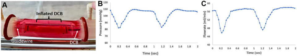 Understanding the Mechanism of Drug Transfer and Retention of Drug-Coated Balloons.