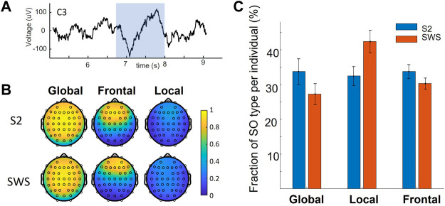 Global and non-Global slow oscillations differentiate in their depth profiles.