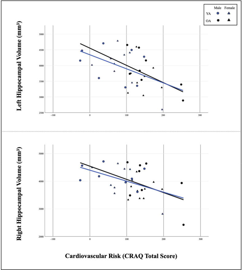 The relationship between cardiovascular risk and lifestyle activities on hippocampal volumes in normative aging