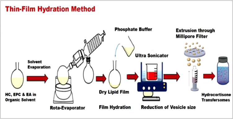 Optimizing and Evaluating the Transdermal Permeation of Hydrocortisone Transfersomes Formulation Based on Digital Analysis of the <i>In Vitro</i> Drug Release and <i>Ex Vivo</i> Studies.